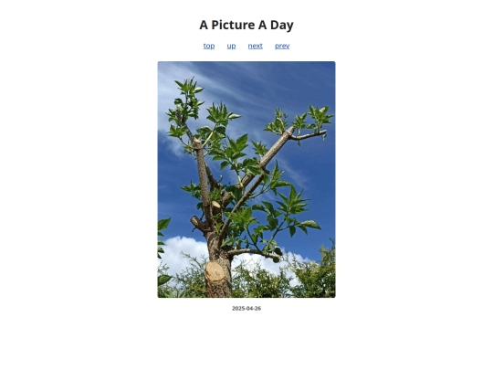 pages/2025/2025-04-26 screenshot