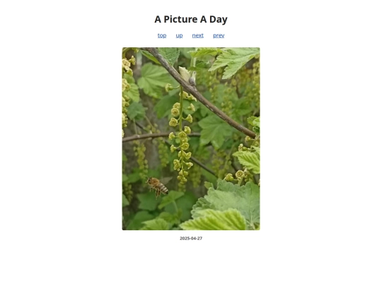 pages/2025/2025-04-27 screenshot