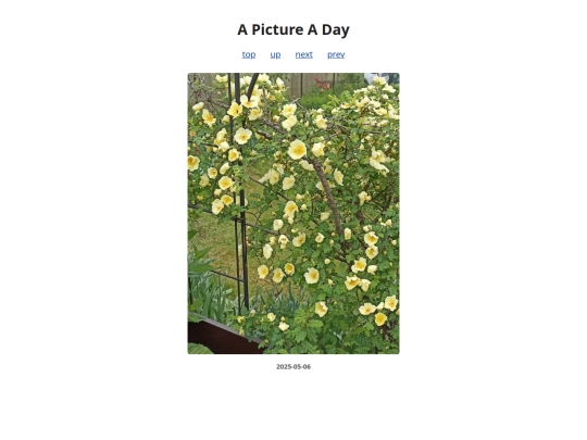 pages/2025/2025-05-06 screenshot