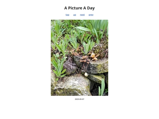 pages/2025/2025-05-07 screenshot