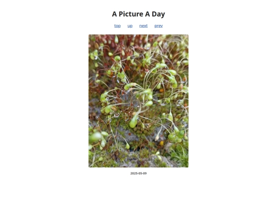 pages/2025/2025-05-09 screenshot