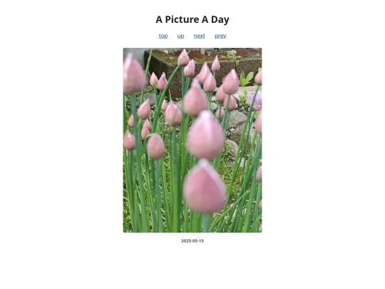 pages/2025/2025-05-15 screenshot