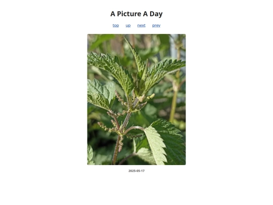 pages/2025/2025-05-17 screenshot