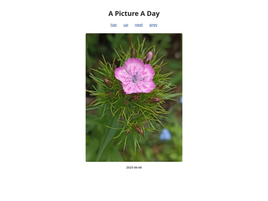 pages/2025/2025-06-06 screenshot