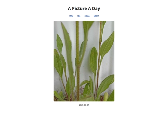 pages/2025/2025-06-07 screenshot