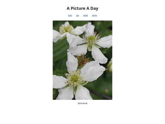 pages/2025/2025-06-08 screenshot