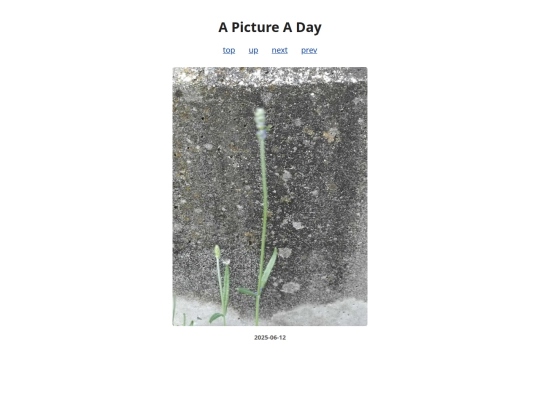 pages/2025/2025-06-12 screenshot
