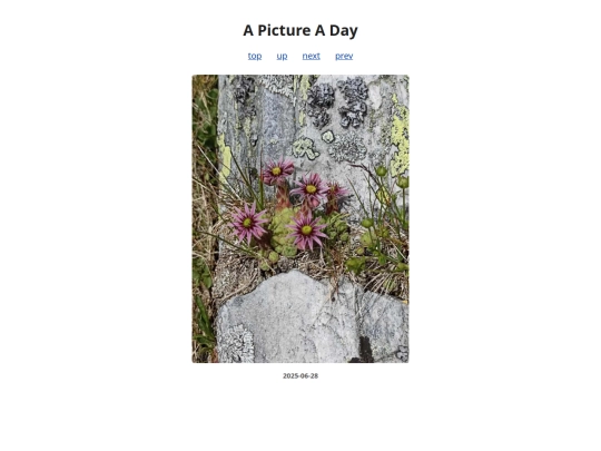 pages/2025/2025-06-28 screenshot