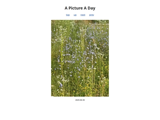pages/2025/2025-06-30 screenshot