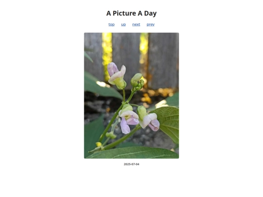 pages/2025/2025-07-04 screenshot
