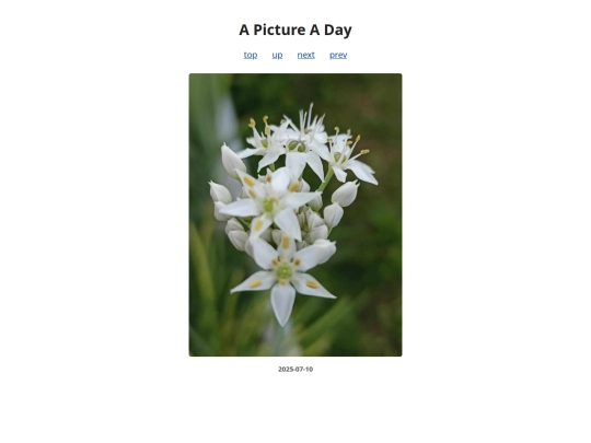 pages/2025/2025-07-10 screenshot