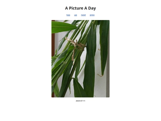 pages/2025/2025-07-11 screenshot