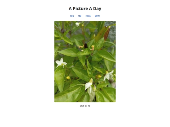 pages/2025/2025-07-12 screenshot