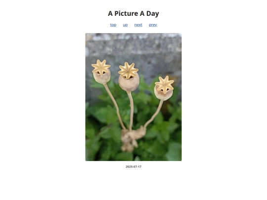 pages/2025/2025-07-17 screenshot