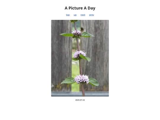 pages/2025/2025-07-24 screenshot