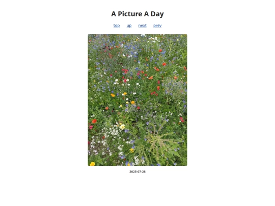 pages/2025/2025-07-28 screenshot