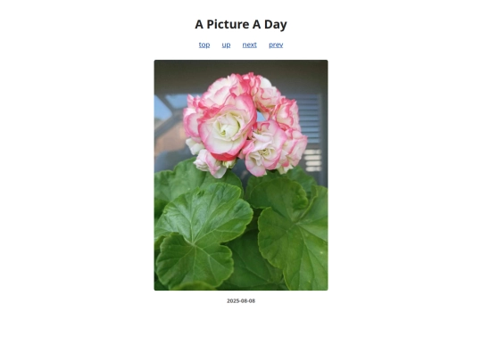 pages/2025/2025-08-08 screenshot