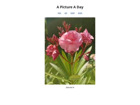 pages/2025/2025-08-10 screenshot