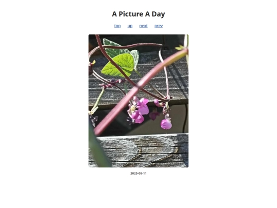 pages/2025/2025-08-11 screenshot