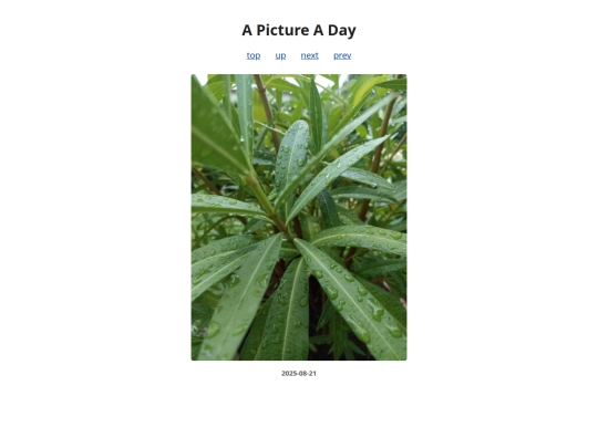 pages/2025/2025-08-21 screenshot