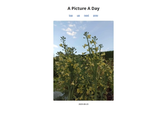pages/2025/2025-08-23 screenshot
