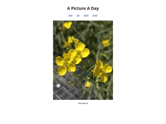 pages/2025/2025-08-24 screenshot