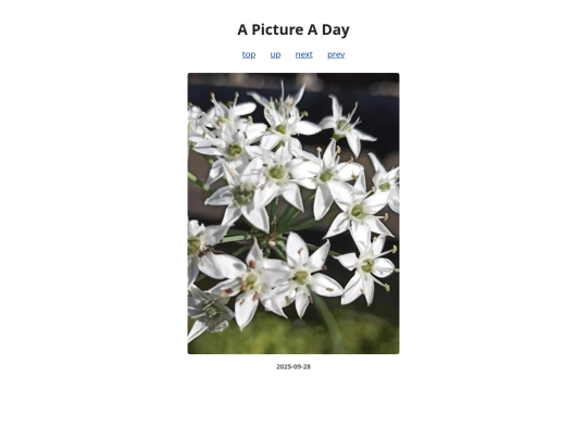 pages/2025/2025-09-28 screenshot