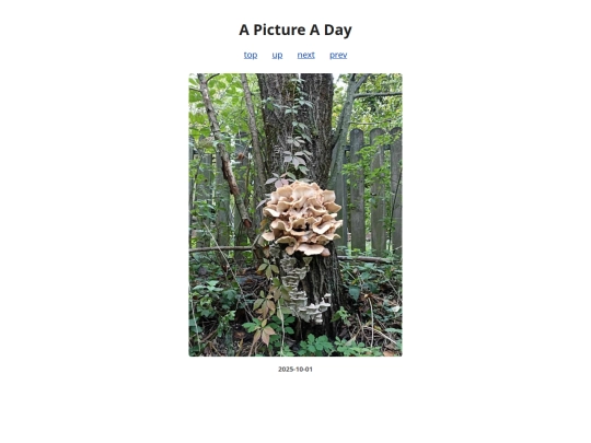 pages/2025/2025-10-01 screenshot