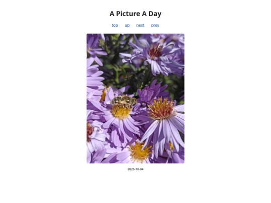pages/2025/2025-10-04 screenshot