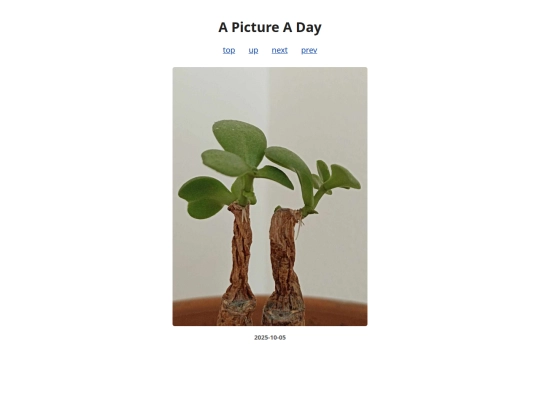 pages/2025/2025-10-05 screenshot