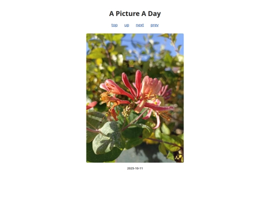 pages/2025/2025-10-11 screenshot