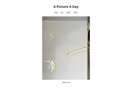 pages/2025/2025-10-16 screenshot