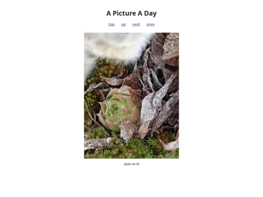 pages/2025/2025-10-19 screenshot