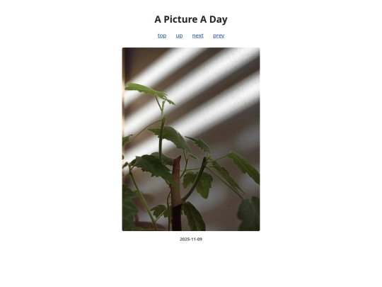 pages/2025/2025-11-09 screenshot