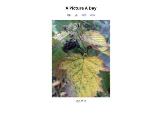 pages/2025/2025-11-13 screenshot