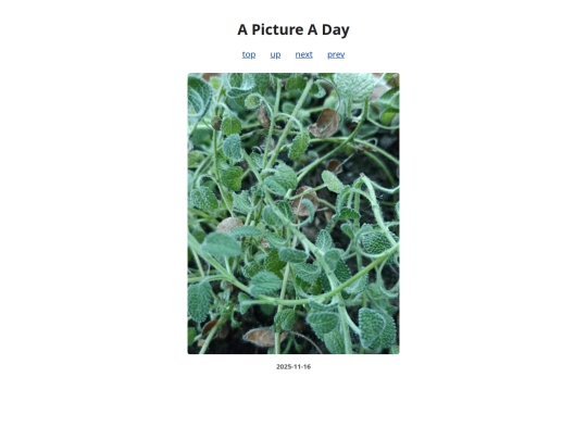pages/2025/2025-11-16 screenshot