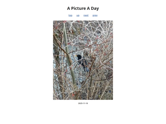 pages/2025/2025-11-18 screenshot