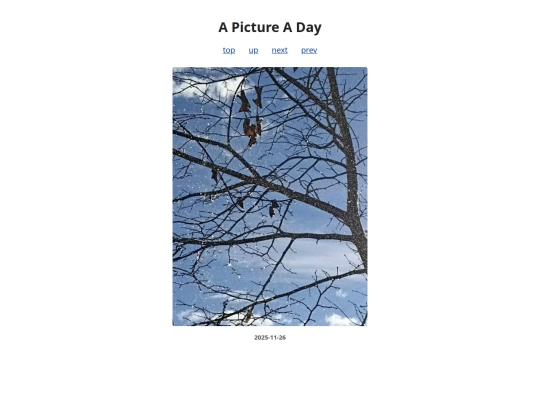 pages/2025/2025-11-26 screenshot