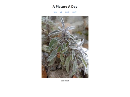 pages/2025/2025-12-24 screenshot