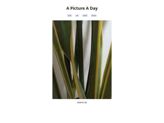 pages/2026/2026-01-06 screenshot