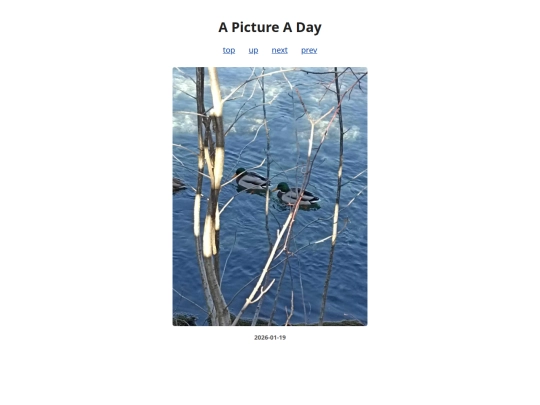 pages/2026/2026-01-19 screenshot