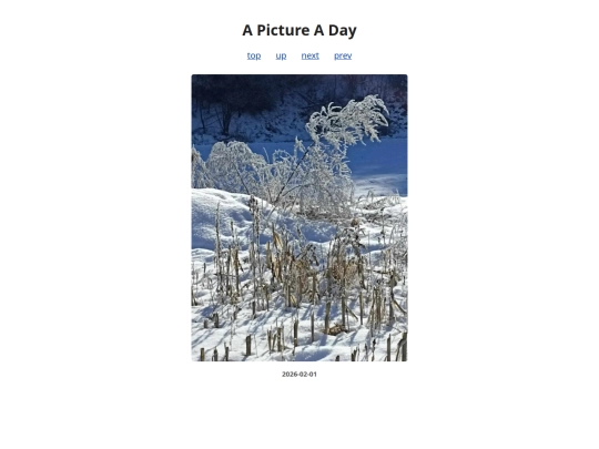 pages/2026/2026-02-01 screenshot