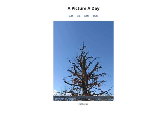 pages/2026/2026-02-02 screenshot
