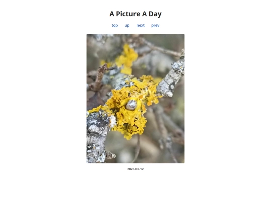 pages/2026/2026-02-12 screenshot