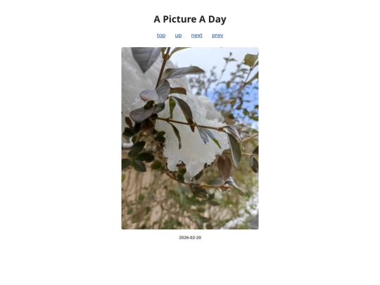 pages/2026/2026-02-20 screenshot