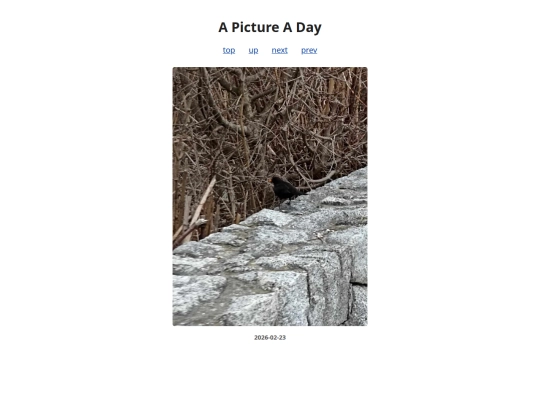 pages/2026/2026-02-23 screenshot
