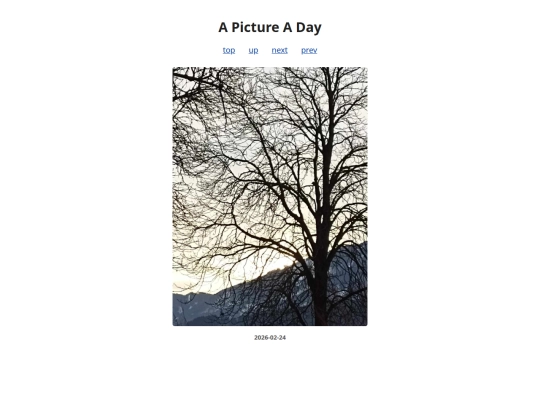 pages/2026/2026-02-24 screenshot