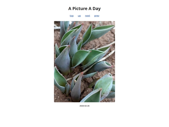pages/2026/2026-02-26 screenshot