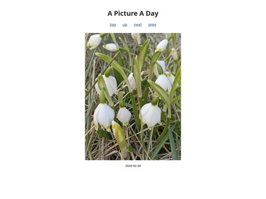 pages/2026/2026-02-28 screenshot