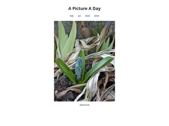 pages/2026/2026-03-05 screenshot